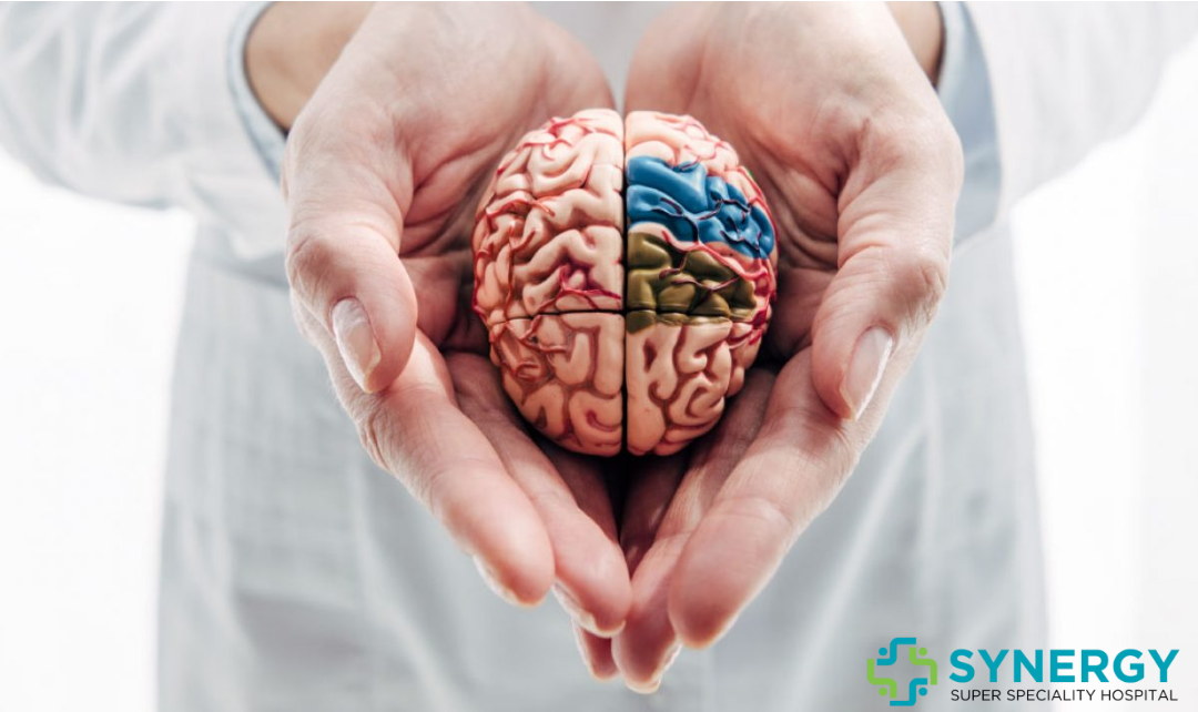 "Close-up of hands holding a model of the human brain, representing advanced neurological care, with Synergy Super Speciality Hospital logo."