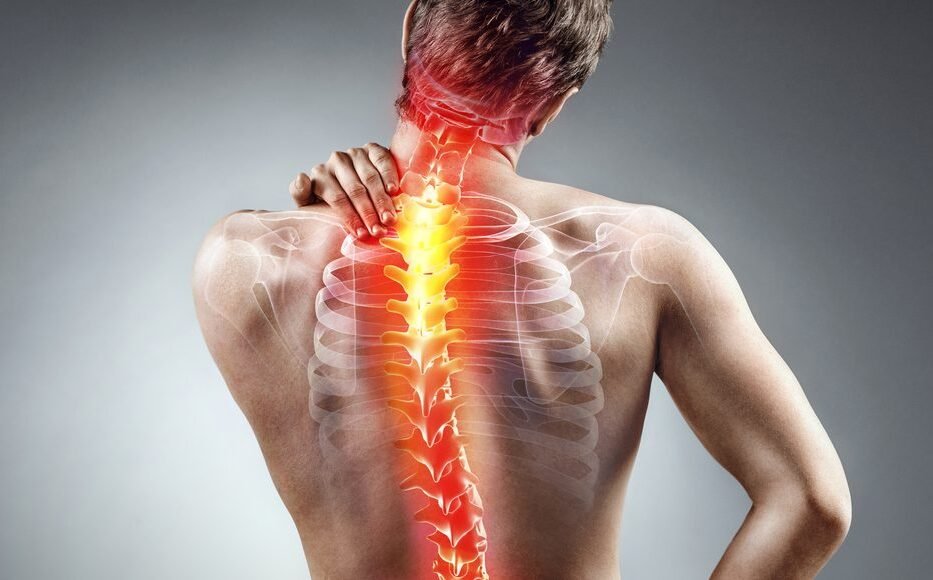 A human back with the spinal column highlighted in red, indicating pain or orthopedic issues.