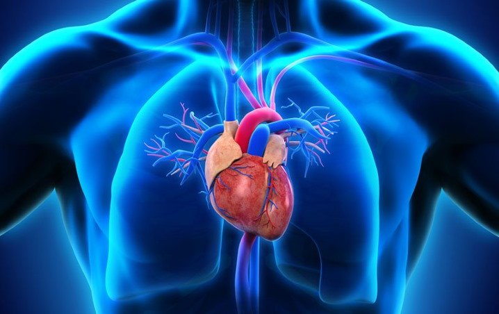 Top cardiologists in Bhopal, Synergy Superspeciality Hospital