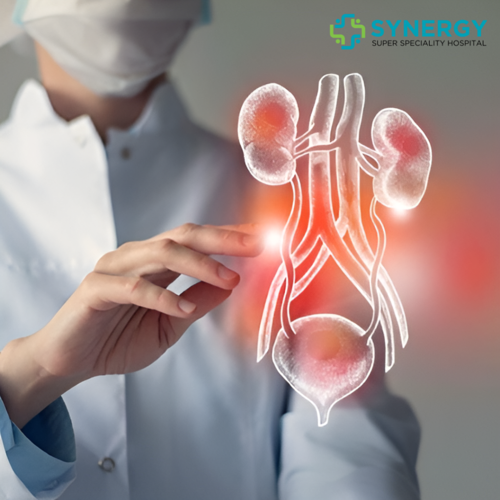 "Doctor pointing at a digital illustration of kidneys and urinary system, representing advanced urology care at Synergy Super Speciality Hospital."