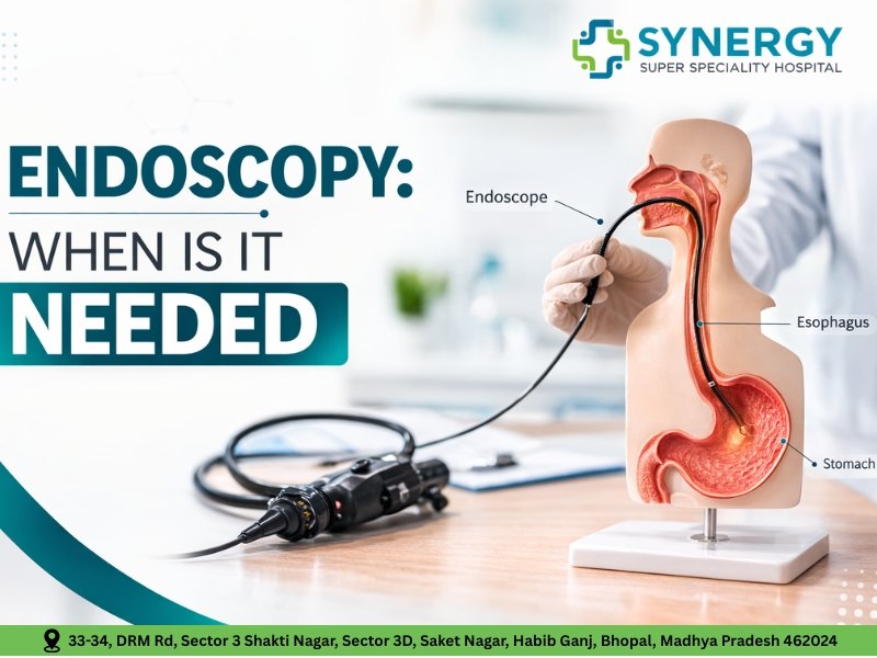 Medical model showing endoscope procedure inside stomach and esophagus representing Endoscopy in Bhopal at Synergy Super Speciality Hospital.